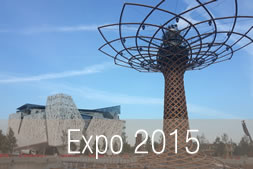 home_expo-2.jpg